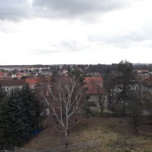 Blick vom Dach Richtung Haberkornstraße - 15.02.2022